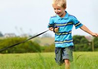 Brisbane Pet Friendly Accommodation
