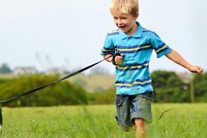 Brisbane Pet Friendly Accommodation Brisbane Pet Friendly Accommodation