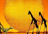 Lion King Accommodation In Brisbane Lion King Accommodation In Brisbane